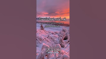 Surah Ghafir Tilawat Quran Best Voice - سورة غافر