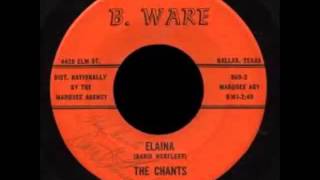 Video thumbnail of "The Chants - Elaina (1966)"