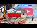 Targeting EDIBLES at False Bay | The Cape Town GALJOEN | ASFN Rock & Surf