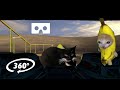 360° VR BANANA CAT on a ROLLER COASTER with MAXWELL THE CAT - Virtual Reality Experience