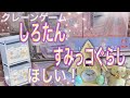 クレーンゲームでしろたん収納BOX、すみっコぐらしムービングクロックを狙ったよ。125