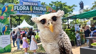 PAMERAN FLORA & FAUNA LAPANGAN BANTENG 