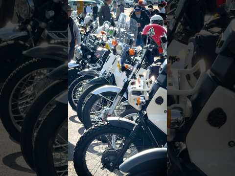 カブ以外も多種・多数きてます！【愛知カブミーティング】The SUPER CUB Meeting in AICHI JAPAN #バイク #スーパーカブ #モトブログ