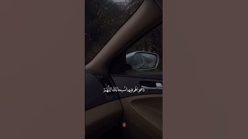 القارئ عبد الرحمن مسعد . أكتب شيء تؤجر عليه ❤️ . #قرآن #القرآن_الكريم #عبدالرحمن_مسعد