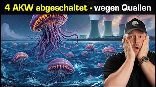 4 Atomkraftwerke von "unberechenbaren" Quallen lahm gelegt - Frankreich
