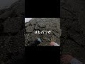 餌代ZEROyen #釣り #節約 #shorts