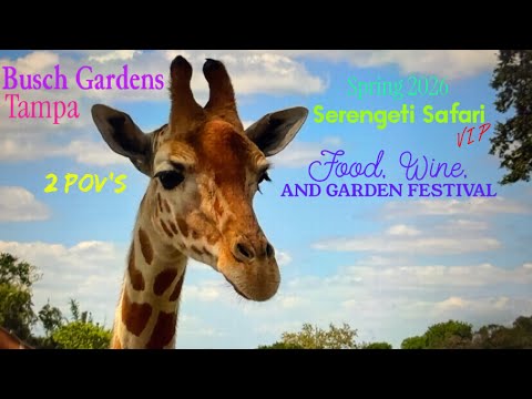 Weekend At Sea World & Busch Gardens Spring 2026 Part 3 VIP Serengeti Safari