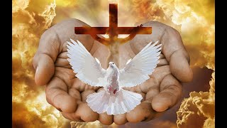 Sunday Sermon Acts 1