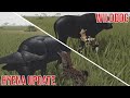 Roblox: NEW HYENA/WILD DOG UPDATE (Testing A)