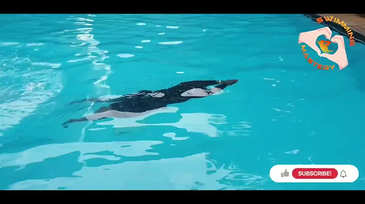 EASY 4-STEP DIVE PROGRESSION/Begginers Guide.