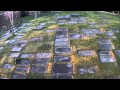 dji phantom fc40