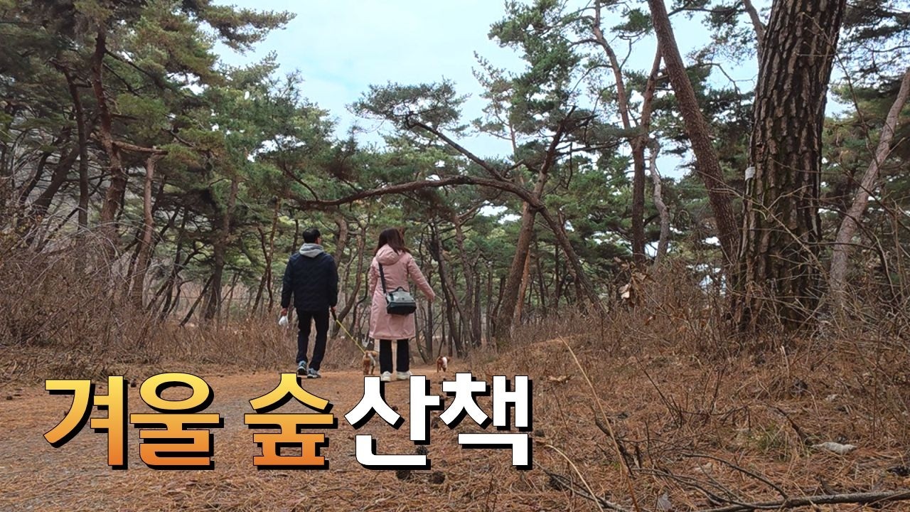 [두리네시브이로그]일상 속 작은 배움과 쉼이 있는 하루 ㅣ 텀블러 세척기 체험 ㅣ 천년의 숲 봉곡사에서 쉬어가기