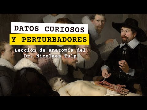 Datos curiosos y perturbadores de "Lección de anatomía del Dr. Nicolaes Tulp" una obra de Rembrandt hqdefault