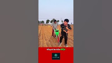 Không Tay Không Khóc: Chàng Trai Dùng Hàm Răng Nuôi Sống Cả Gia Đình #suthuctinh