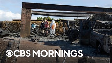 Lahaina residents return to find little left after wildfires