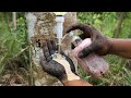 Survival Skills SIMPLE And USEFUL save SOAP in Water #camping #outdoors #bushcraft #survival