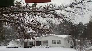 Snow Cam Live Winter Weather, Reed Mathis Song 1 Orphan N.w. Arkansas