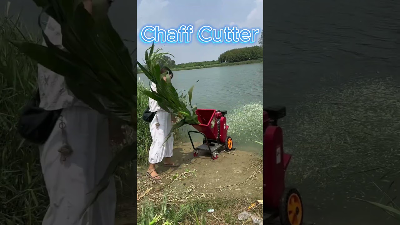 Mini Chaff Cutter for Small Farms Best Grass CuttingMachine