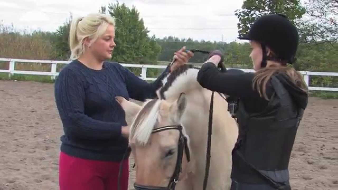 Osa 3: Hevosen selkään nouseminen ja ratsastajan varusteet - Tuomarinkylän Ratsastuskoulu