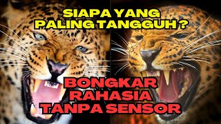 PERTARUNGAN SENGIT‼️ 10 PERBEDAAN MACAN TUTUL DAN JAGUAR #macantutul #jaguar #perbedaan #hutan