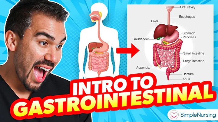 An Introductory Journey into the GI System for Nursing Students