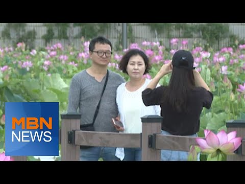 "코로나 걱정 없어요"…도심 속 힐링공간 '인기' [전국네트워크]