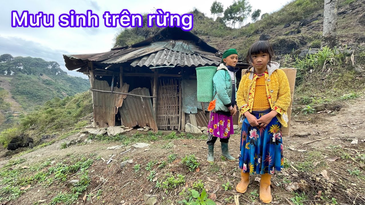 Cuộc Sống 3 Bố Con Mưu Sinh Trên Rừng Trong Căn Nhà Rách Nát - YouTube