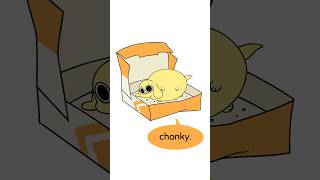 Little throwback re-run today!Chonky #animation