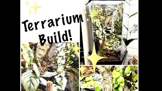 Come with me as I make a large Terrarium! Lots of plants and shenanigans!