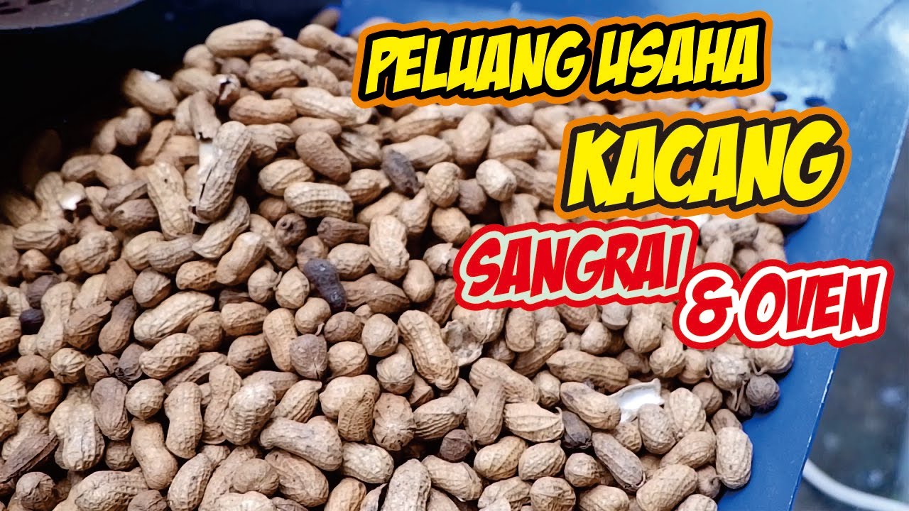 PELUANG USAHA KACANG SANGRAI OVEN MESIN SANGRAI KACANG 