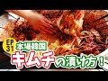 EP31.本場韓国キムチの漬け方！キムチ作りは意外と簡単だった！韓国キムチレシピ公開！