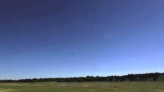 Eflite Apprentice with flaps
