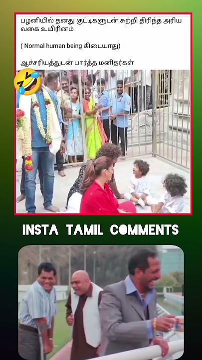 😎Reaction Video🥸 #funny #comedy #shortsfeed #waitforcomment #comment #trending #shorts [பகுதி-1649]