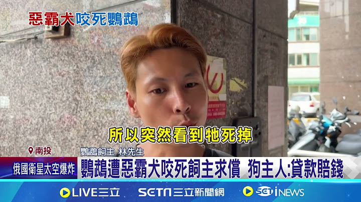 鸚鵡遭惡霸犬咬死飼主求償 狗主人:貸款賠錢｜三立新聞網 SETN.com