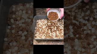 Making Snickerdollies (New Seven Layer Magic Bars) Information