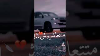 يا صحبه كلاب 🐶💔❌