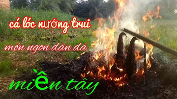 Cá lóc nướng trui,cách nướng NTN. món ăn dân dã miền tây.