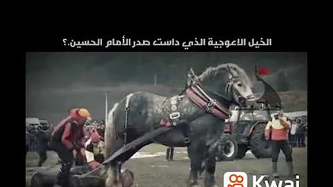 خيل الاعوجية