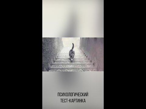 Куда идёт кошка? Психологические тесты. #shorts