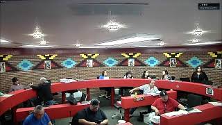 OST Council Special Session 3Apr24 Pt 3