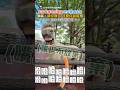 馬張嘴等吃紅蘿蔔他突轉餵朋友 網笑：請你模仿 沒要你超越🤣｜觸咪 #shorts @Truemii