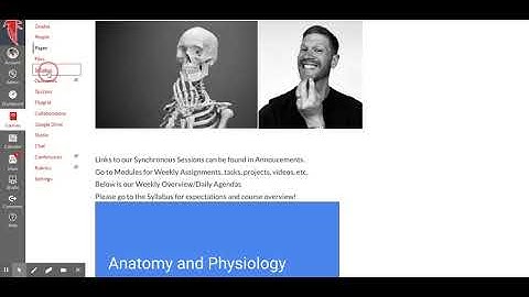 Embedding a slide deck or Word Doc into Canvas LMS.
