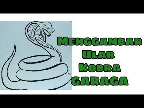 Video: Cara Menggambar Kobra Dengan Pensil Langkah Demi Langkah