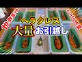 【1年ぶり】大量の巨大蛹と羽化した「ヘラクレスオオカブト」をひたすら掘り返す神回確定の時間