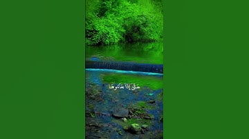 سورة الناس#قران_كريم #اكسبلور #الرحمن #music #دويتو #المصحف #duet #المراه #تيك_توك #اعتني