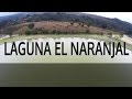 Video de Naranjal