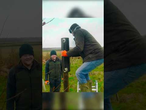 Creating the Farm Jurassic Park…🐓#jeremyclarkson #farming