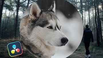 Oval iris l Davinci Resolve 20