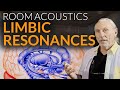 Limbic Resonances - www.AcousticFields.com