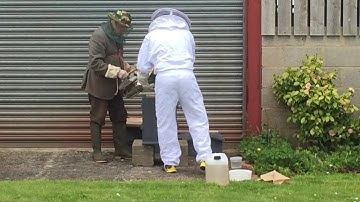 Package Bees into a Warre hive part 1